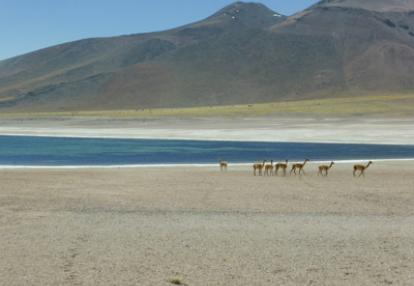 Voyage au Chili de Michel et Maryse