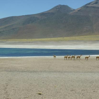 Voyage au Chili de Michel et Maryse