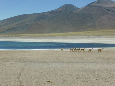 Voyage au Chili de Michel et Maryse
