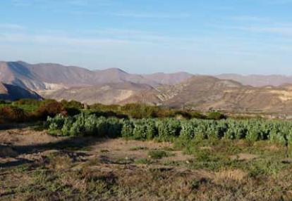 Voyage au Chili de Marie-France