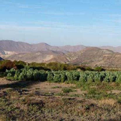 Voyage au Chili de Marie-France