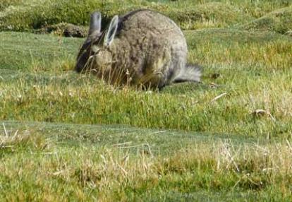 Voyage au Chili de Marie-France