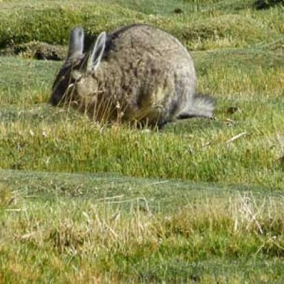 Voyage au Chili de Marie-France