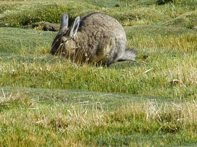 Voyage au Chili de Marie-France