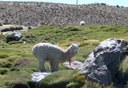 Voyage au Chili de Marie-France
