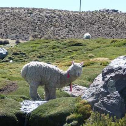 Voyage au Chili de Marie-France