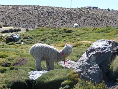 Voyage au Chili de Marie-France