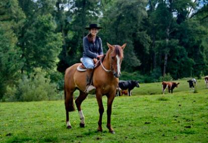 De Huilo Huilo à Pucon