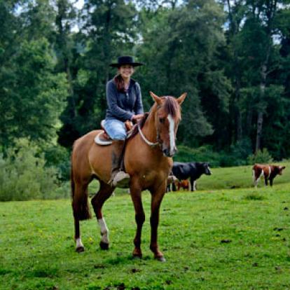 De Huilo Huilo à Pucon