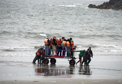 Les ilots de Puñihuil