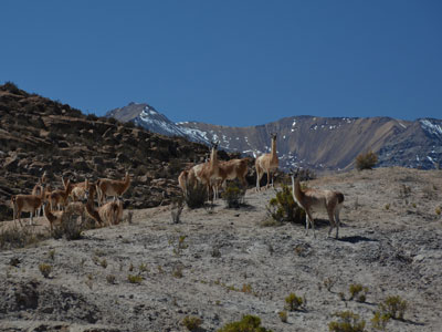 Voyage au Chili de Christian