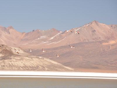 Voyage au Chili de Christian