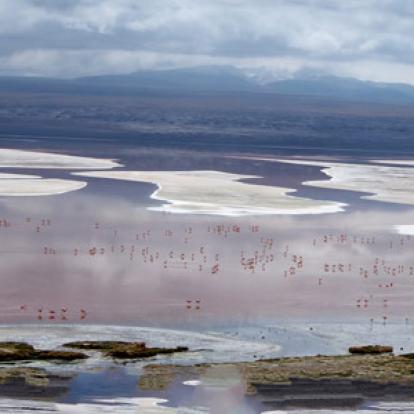 Voyage au Chili  de Rémy