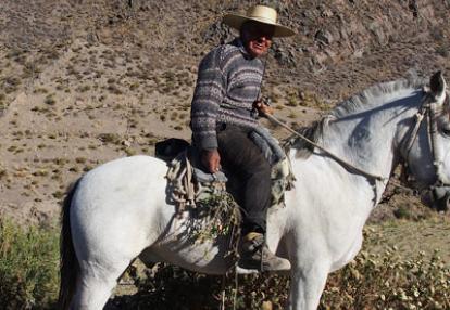 Voyage au Chili  de Rémy