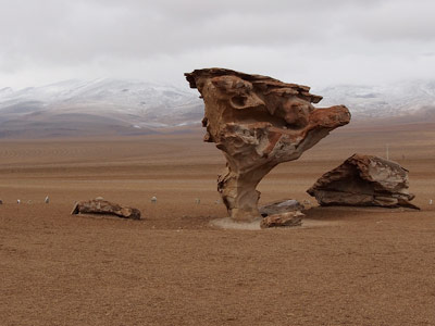 Voyage au Chili  de Rémy