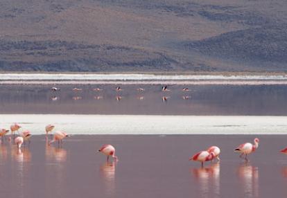Voyage au Chili  de Rémy