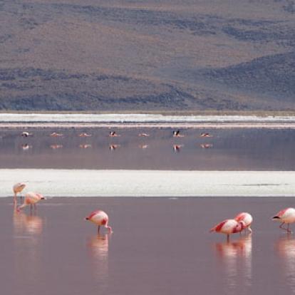 Voyage au Chili  de Rémy