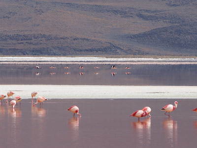 Voyage au Chili  de Rémy