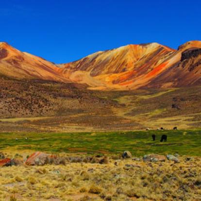 Voyage au Chili  de Rémy
