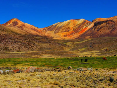 Voyage au Chili  de Rémy