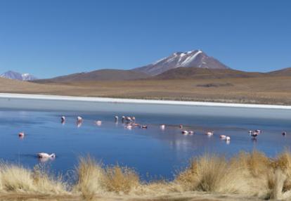 Voyage au Chili de Denis et Martine
