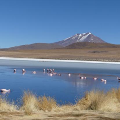 Voyage au Chili de Denis et Martine