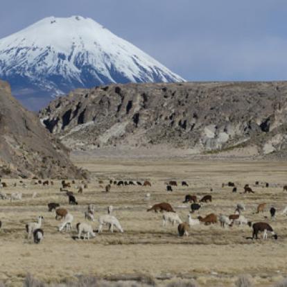 Voyage au Chili de Denis et Martine