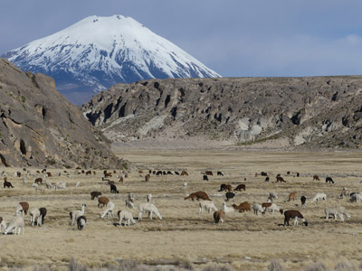 Voyage au Chili de Denis et Martine