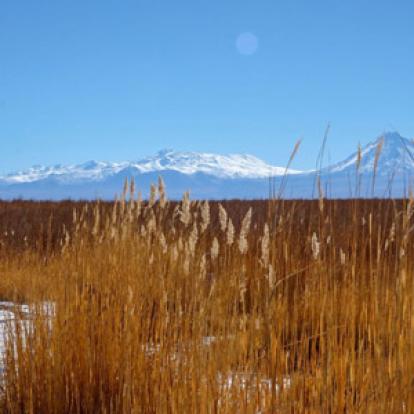 ©Aurélie V. - Tous Droits Réservés Voyage au Chili de Christophe et Aurélie