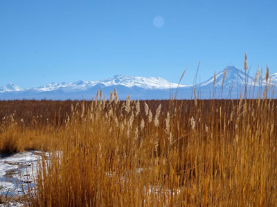 ©Aurélie V. - Tous Droits réservés Voyage au Chili de Christophe et Aurélie
