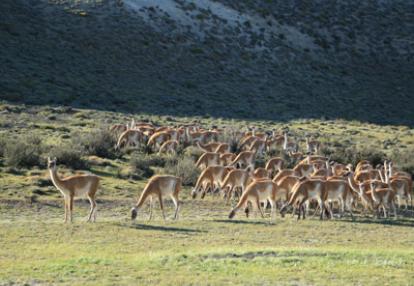 Voyage au Chili de Dominique
