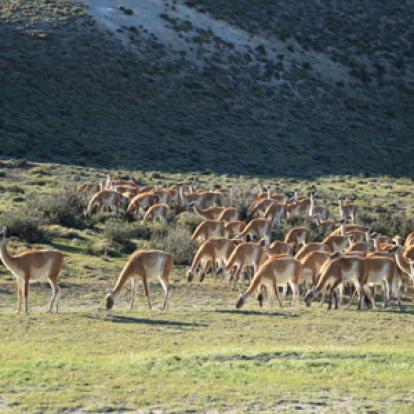 Voyage au Chili de Dominique