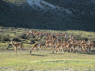Voyage au Chili de Dominique