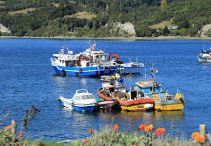 Voyage au Chili de Dominique