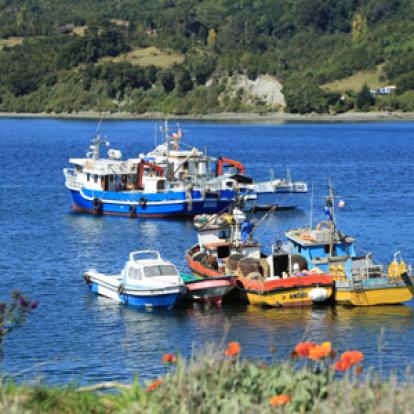 Voyage au Chili de Dominique