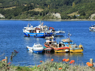 Voyage au Chili de Dominique