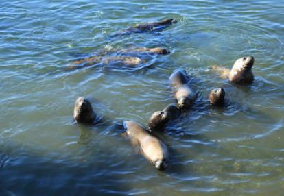 Voyage au Chili de Dominique