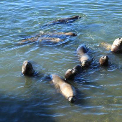 Voyage au Chili de Dominique