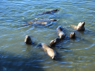 Voyage au Chili de Dominique