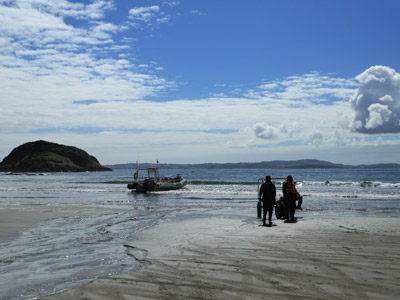 Voyage au Chili de Dominique