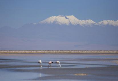 Voyage au Chili de Dominique
