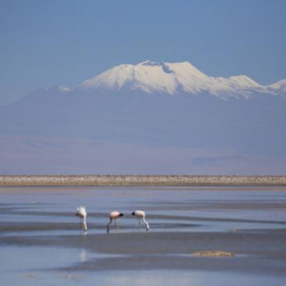Voyage au Chili de Dominique