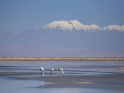 Voyage au Chili de Dominique