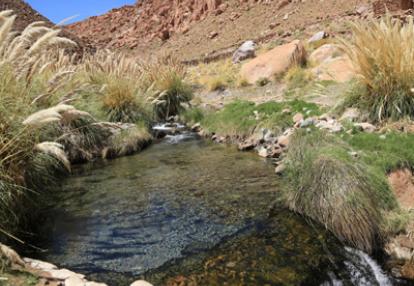 Voyage au Chili de Dominique