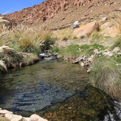 Voyage au Chili de Dominique