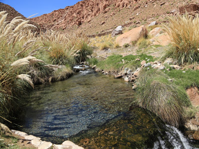 Voyage au Chili de Dominique