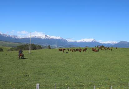 Voyage au Chili de Dominique et Patrick