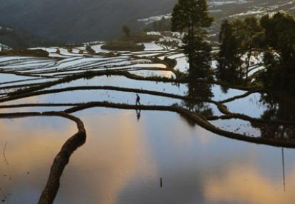 Voyage en Chine de Dominique