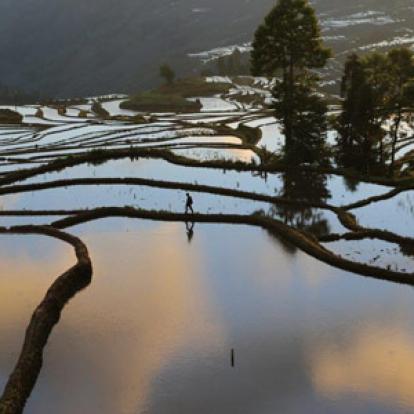 Voyage en Chine de Dominique