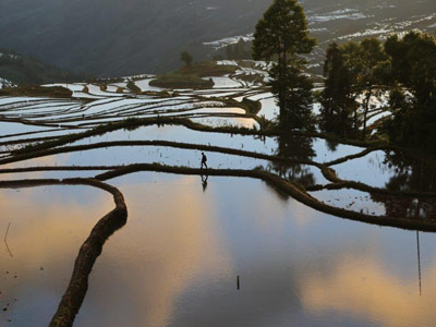 Voyage en Chine de Dominique